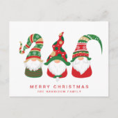 Cute Gnomes Merry Kerstmis Feestdagenkaart (Voorkant)