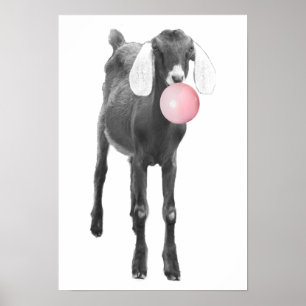 Cute Goat Black White Bubble Gum Nursery Child Poster