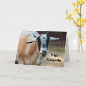 Cute Goat Eating Hay Photo Sympathy Kaart (Gele Bloem)