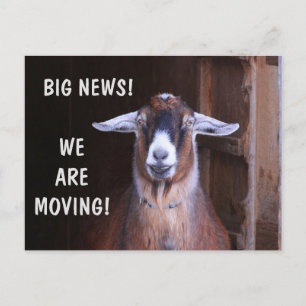 Cute Goat Moving Announcement Briefkaart