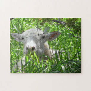 Cute Goat Peking uit Fence Legpuzzel
