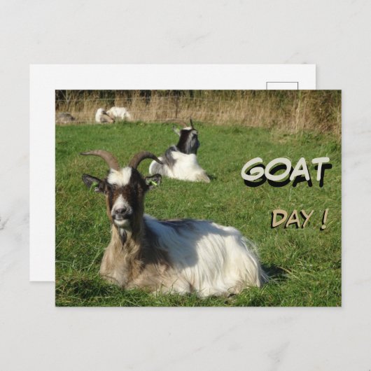 Cute Goats Cust. Text Goat Day Briefkaart (Voorkant / Achterkant)