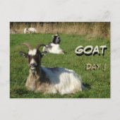 Cute Goats Cust. Text Goat Day Briefkaart (Voorkant)