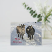 Cute Goats SneeuwfotoKerstmis Briefkaart (Staand voorkant)