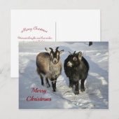 Cute Goats SneeuwfotoKerstmis Briefkaart (Voorkant / Achterkant)