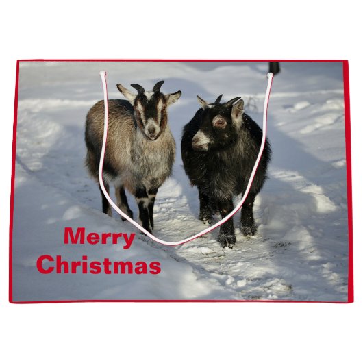 Cute Goats SneeuwfotoKerstmis Groot Cadeauzakje (Voorkant)