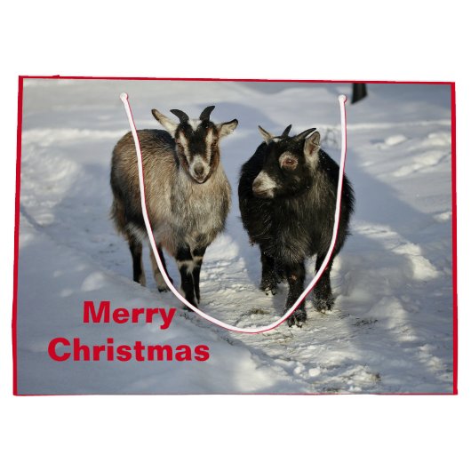 Cute Goats SneeuwfotoKerstmis Groot Cadeauzakje (Achterkant)