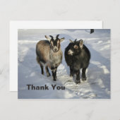Cute Goats Snow Foto Hartelijk dank Briefkaart (Voorkant / Achterkant)