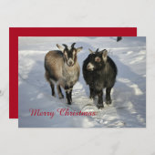 Cute Goats Snow-kerstfoto Feestdagenkaart (Voorkant / Achterkant)