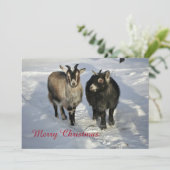Cute Goats Snow-kerstfoto Feestdagenkaart (Staand voorkant)