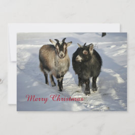 Cute Goats Snow-kerstfoto Feestdagenkaart