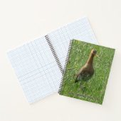 Cute Godwit in Grass Cust. Notitieboek voor vogelw (Binnen)