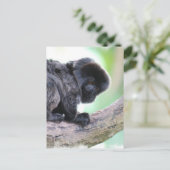 Cute Goeldi Briefkaart (Staand voorkant)