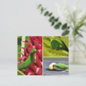 Cute gold day gecko roze anananas Hawaii Briefkaart (Staand voorkant)