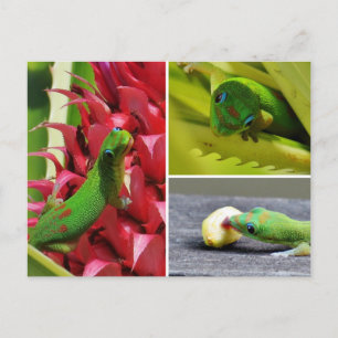 Cute gold day gecko roze anananas Hawaii Briefkaart