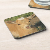 Cute Gold Nigerian Dwarf Dairy Goat Kind Bier Onderzetter (Linkerzijde)