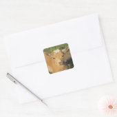 Cute Gold Nigerian Dwarf Dairy Goat Kind Vierkante Sticker (Envelop)