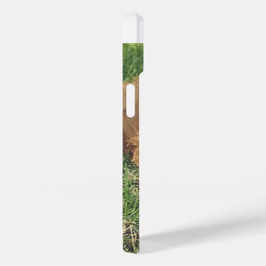 Cute Golden Doodle Case-Mate iPhone Case (Achterkant / Rechts)