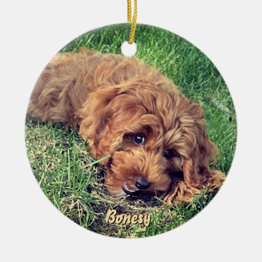 Cute Golden Doodle Ceramic Ornament (Voorkant)