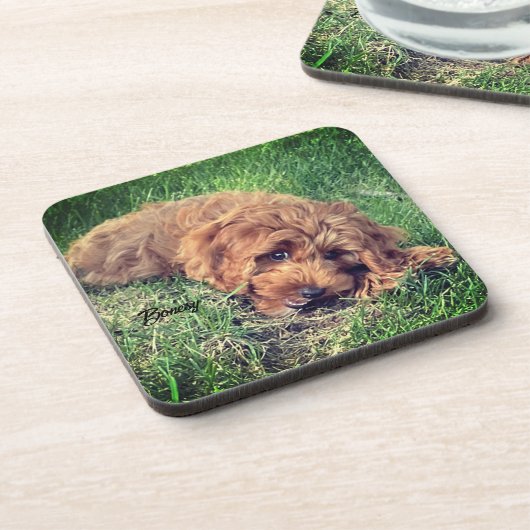 Cute Golden Doodle Drank Onderschepper Bier Onderzetter (Linkerzijde)