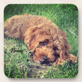 Cute Golden Doodle Drank Onderschepper Bier Onderzetter