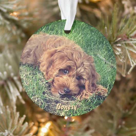 Cute Golden Doodle Ornament (Boom)