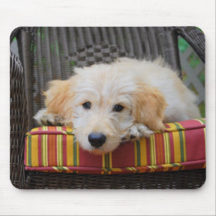 Cute Golden Doodle Puppy Mousepad Muismat