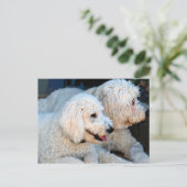 Cute Golden Doodles background Briefkaart (Staand voorkant)