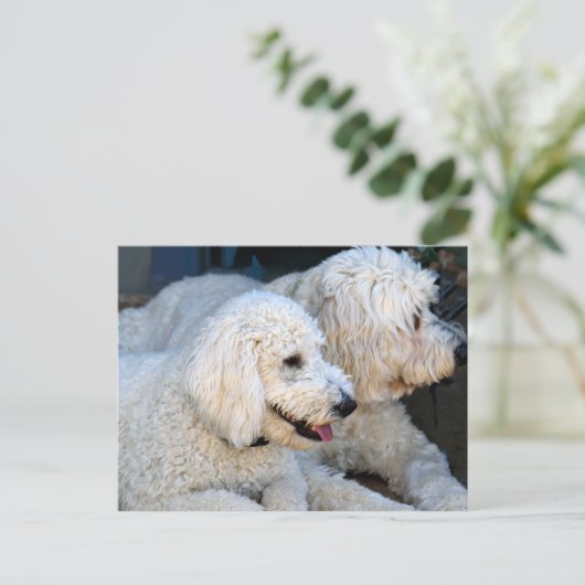 Cute Golden Doodles background Briefkaart (Staand voorkant)