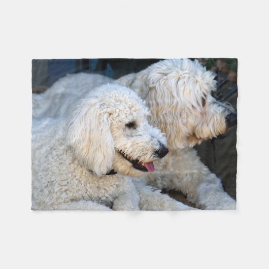 Cute Golden Doodles background Fleece Deken (Voorkant (Horizontaal))