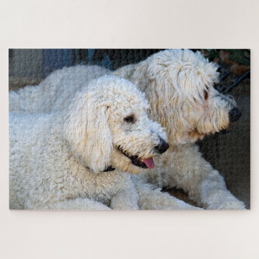 Cute Golden Doodles background Legpuzzel (Horizontaal)