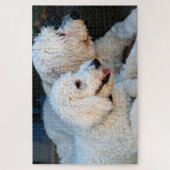 Cute Golden Doodles background Legpuzzel (Verticaal)