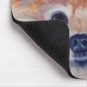 CUTE GOLDEN POMERANIAN MUISMAT (Hoek)