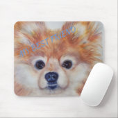 CUTE GOLDEN POMERANIAN MUISMAT (Met muis)