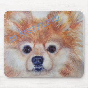CUTE GOLDEN POMERANIAN MUISMAT