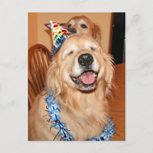 Cute Golden Retriever Birthday Wishes Briefkaart (Voorkant)