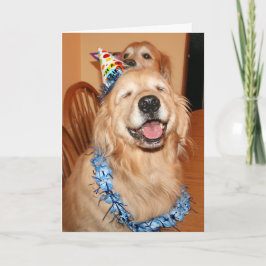 Cute Golden Retriever Birthday Wishes Kaart