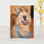 Cute Golden Retriever Birthday Wishes Kaart (Gele Bloem)
