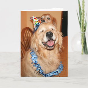 Cute Golden Retriever Birthday Wishes Kaart