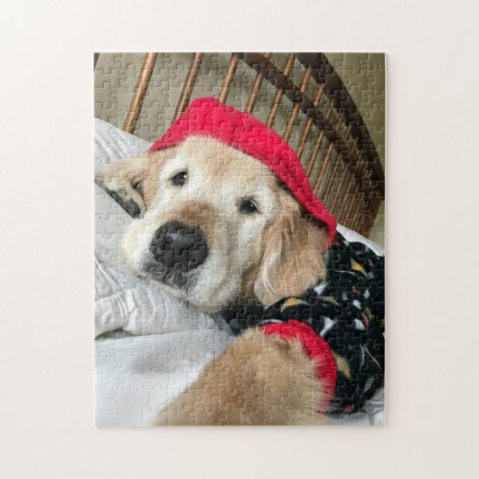 Cute Golden Retriever Dog in Pajamas Legpuzzel (Verticaal)