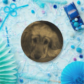 Cute Golden Retriever Dog neer Papieren Bordje (Feest)