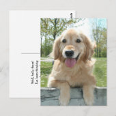 Cute Golden Retriever Dog on Fence Thinking You Briefkaart (Voorkant / Achterkant)