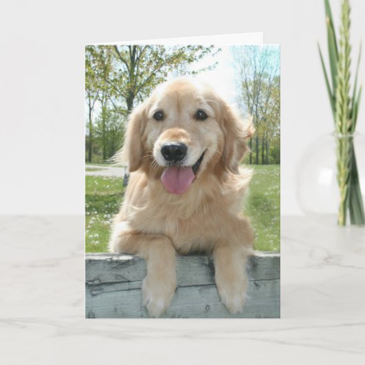 Cute Golden Retriever Dog on Fence Thinking You Kaart (Voorkant)