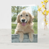 Cute Golden Retriever Dog on Fence Thinking You Kaart (Gele Bloem)
