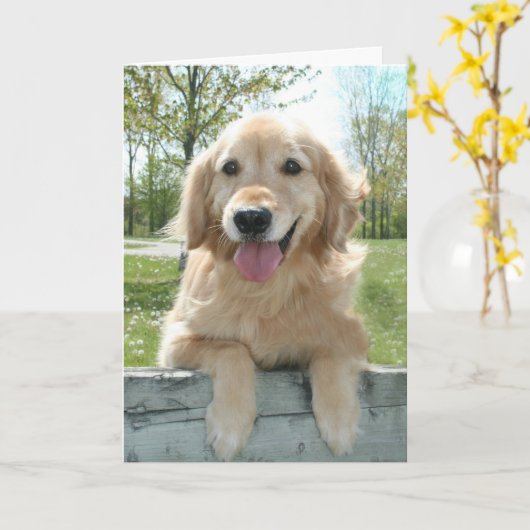 Cute Golden Retriever Dog on Fence Thinking You Kaart (Gele Bloem)