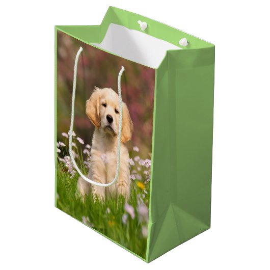 Cute Golden Retriever Dog Puppy Face Animal Foto Medium Cadeauzakje (Voorkant Gekanteld)