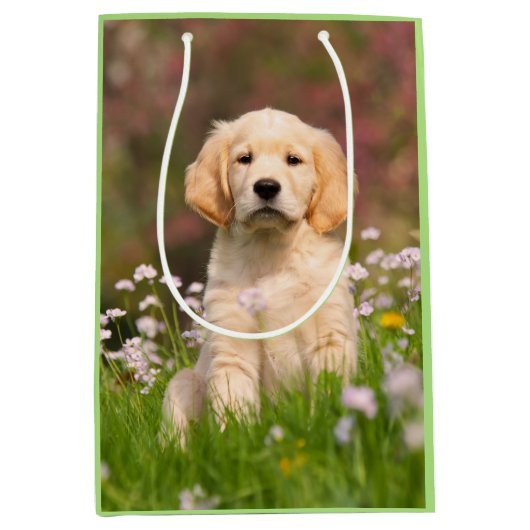 Cute Golden Retriever Dog Puppy Face Animal Foto Medium Cadeauzakje (Voorkant)