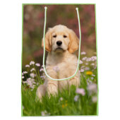 Cute Golden Retriever Dog Puppy Face Animal Foto Medium Cadeauzakje (Achterkant)