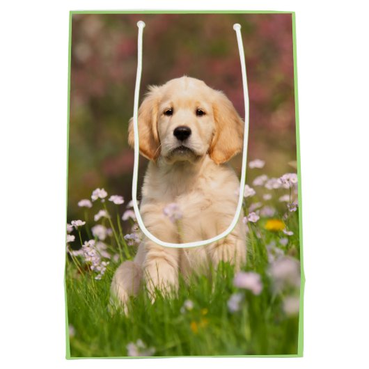 Cute Golden Retriever Dog Puppy Face Animal Foto Medium Cadeauzakje (Achterkant)