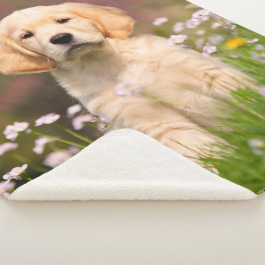 Cute Golden Retriever Dog Puppy Face Animal Foto Sherpa Deken (3/4)